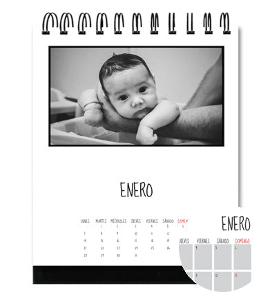 Calendario de Escritorio Vertical