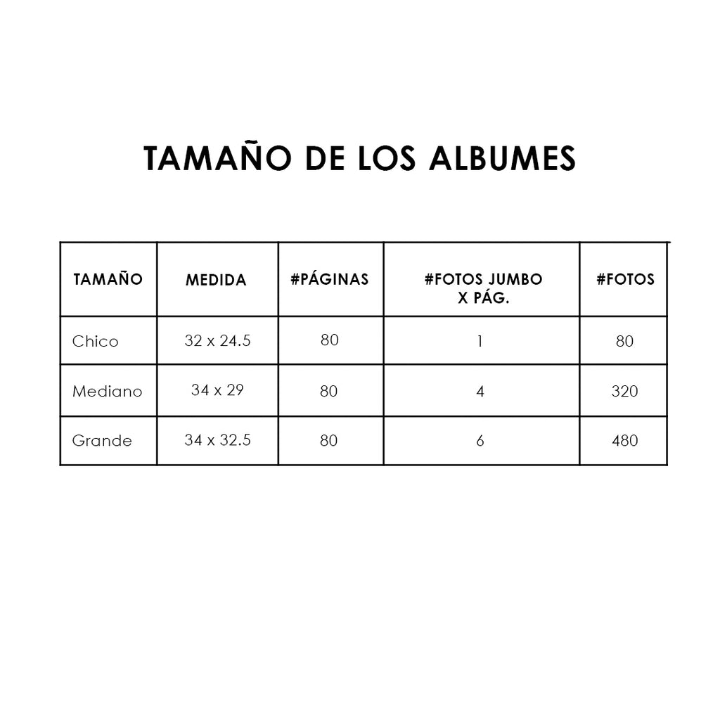 ALBUM DE CUERO - LEDER