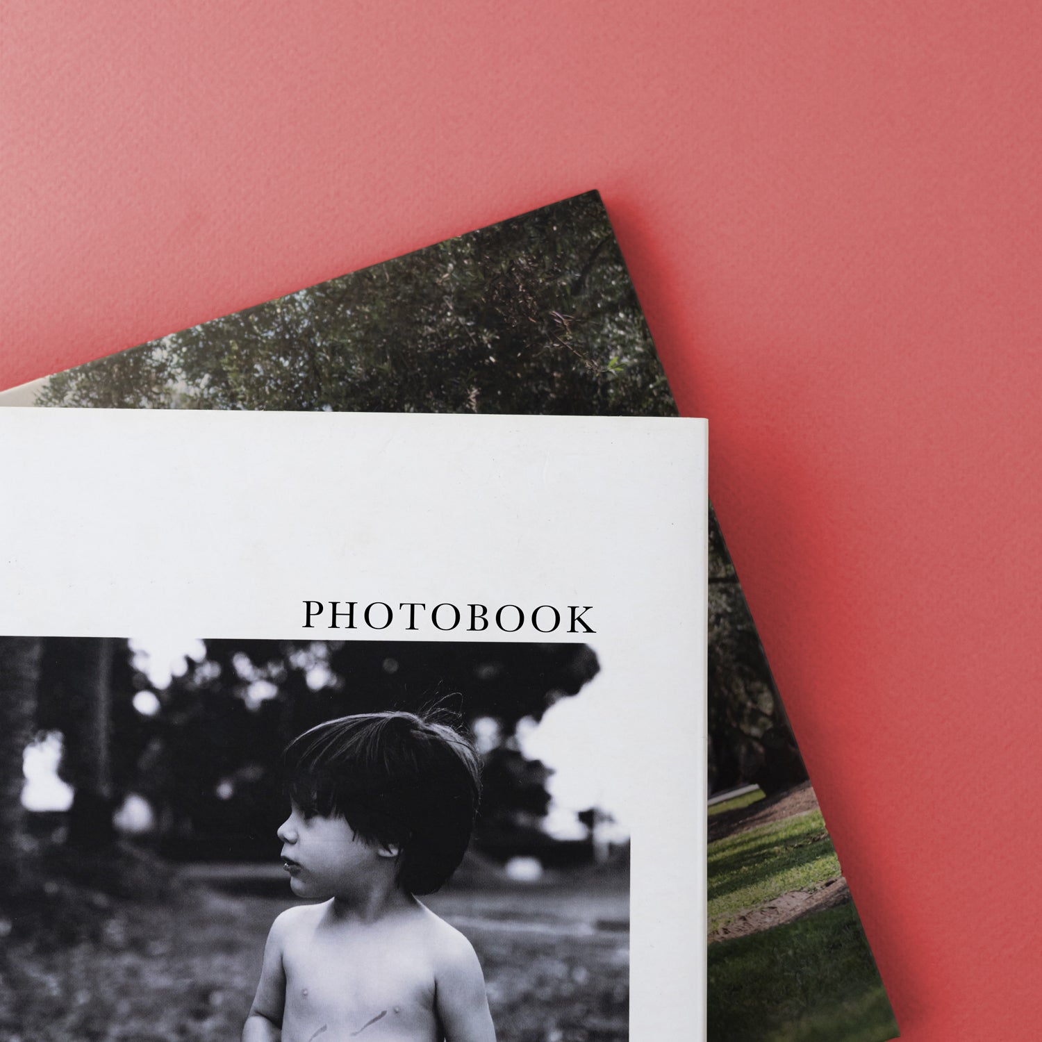 Dos álbumes de fotos sobre una mesa.