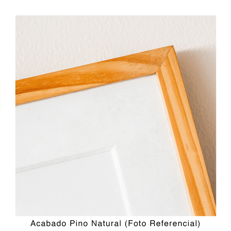 CUADRO DE VIDRIO CON COLLAGE