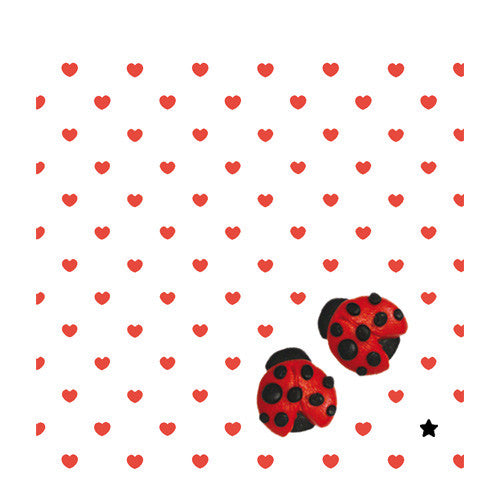 Imantado Mariquitas
